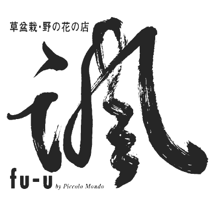諷（fu-u） 苔玉、草盆栽、山野草